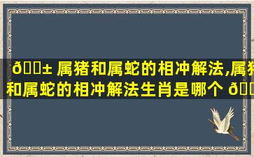 🐱 属猪和属蛇的相冲解法,属猪和属蛇的相冲解法生肖是哪个 🍀